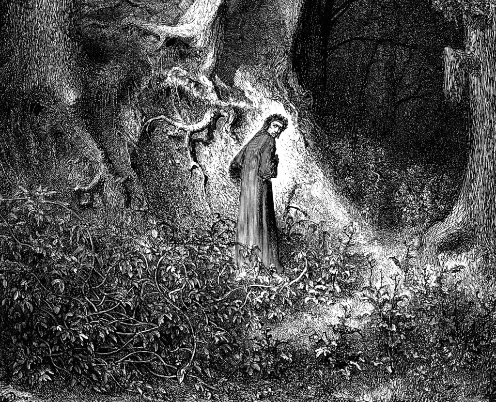 Verifica Su Dante Divina Commedia